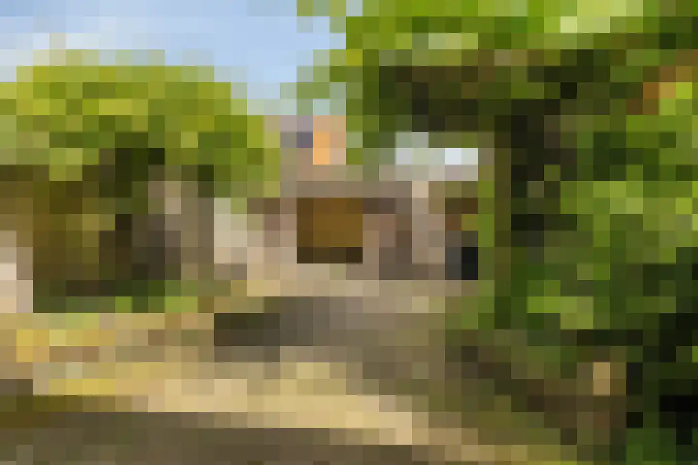 Enkweg 42 Epe thumbnail 28