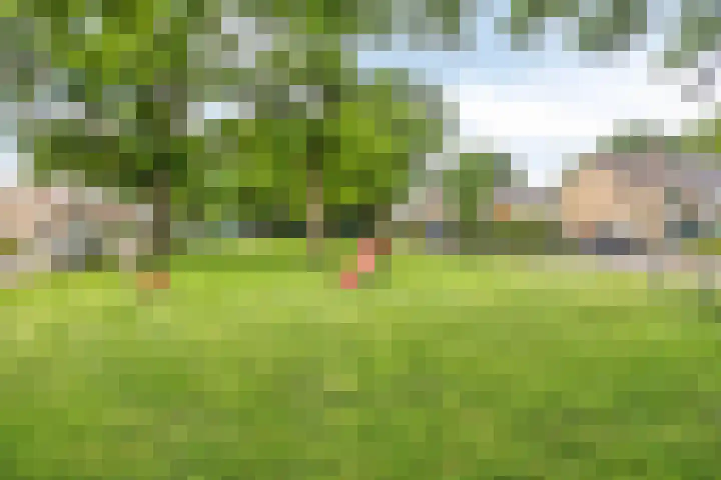 Enkweg 42 Epe thumbnail 30