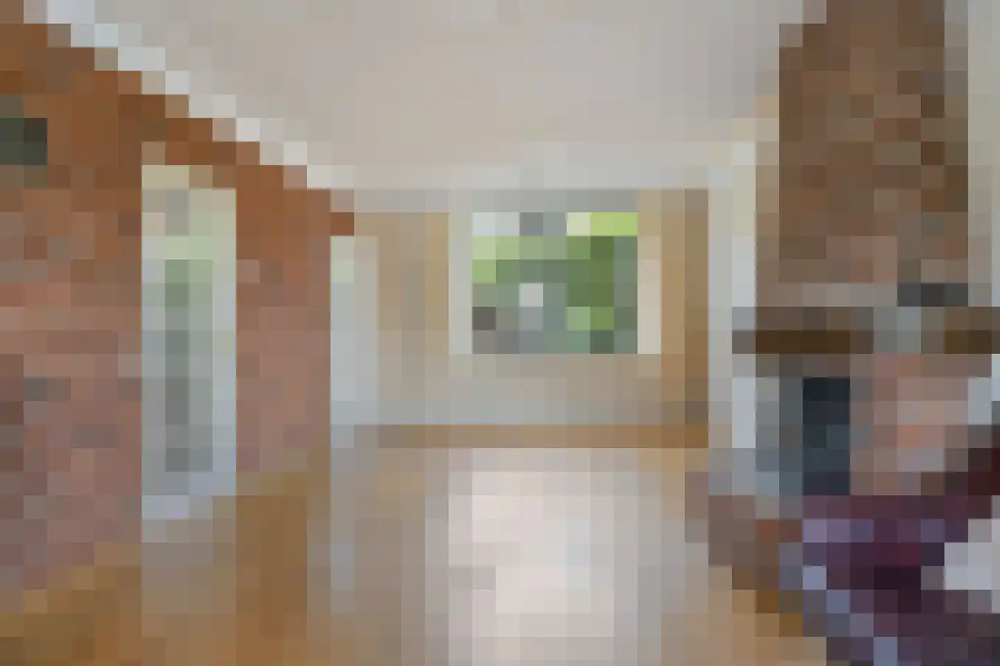 Enkweg 42 Epe thumbnail 7