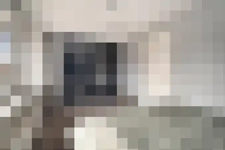 Enkweg 42 Nunspeet thumbnail 30