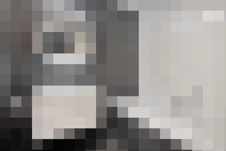 Enkweg 42 Nunspeet thumbnail 31