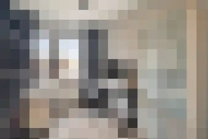 Enkweg 42 Nunspeet thumbnail 36