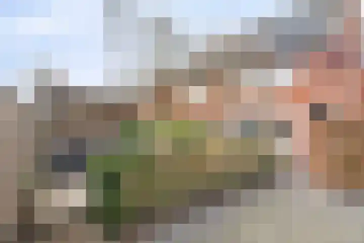 Enkweg 42 Nunspeet thumbnail 48