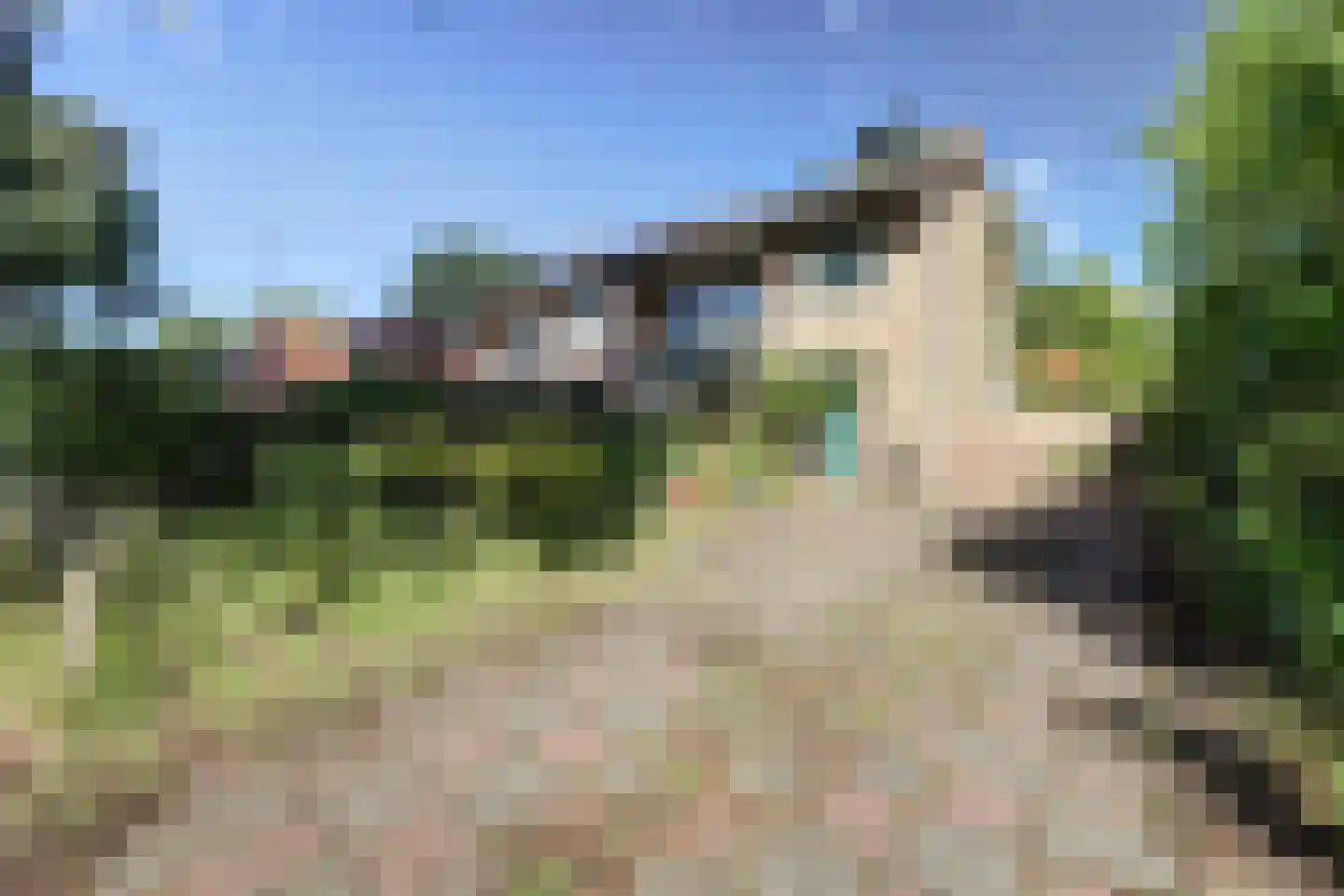Enkweg 53 Nunspeet foto 2