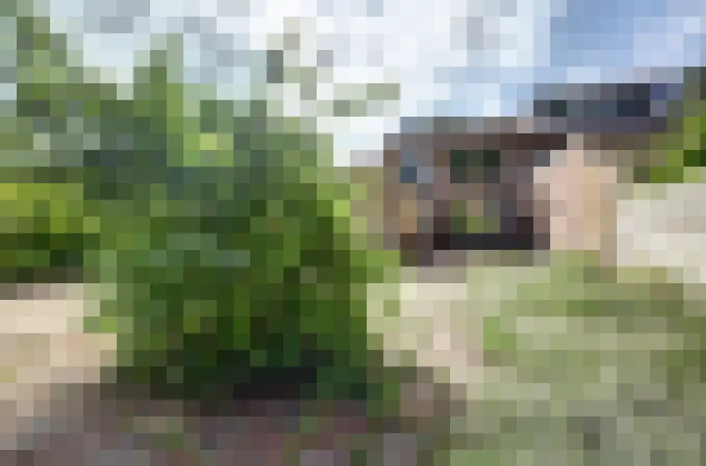 Enkweg 53 Nunspeet thumbnail 42