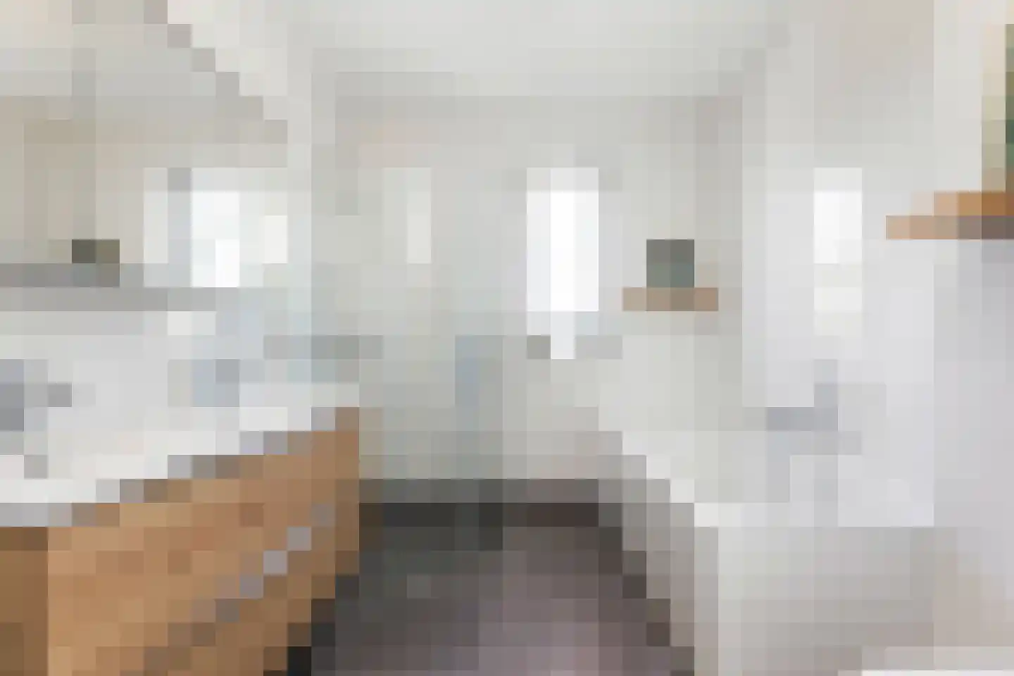 Enkweg 56 f Wijhe thumbnail 22