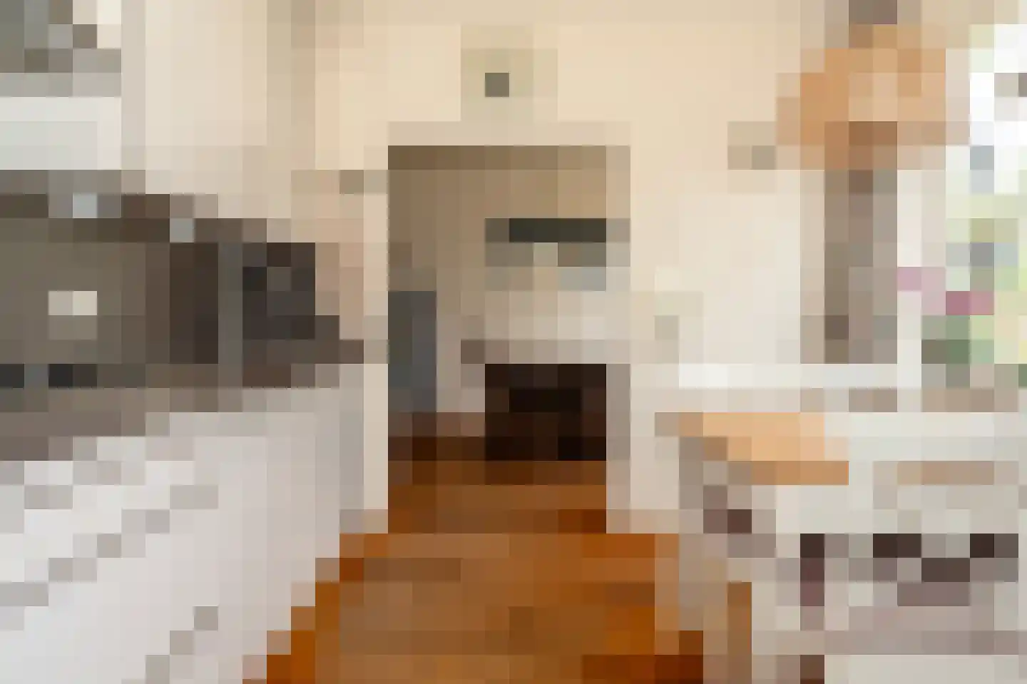 Enkweg 6 Epe thumbnail 12