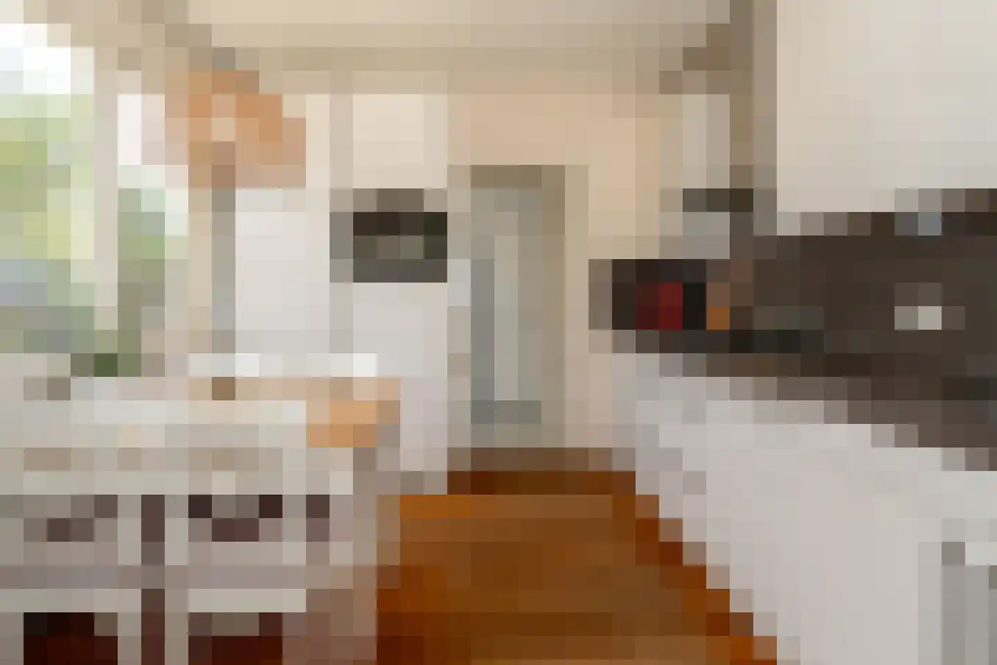 Enkweg 6 Epe thumbnail 14