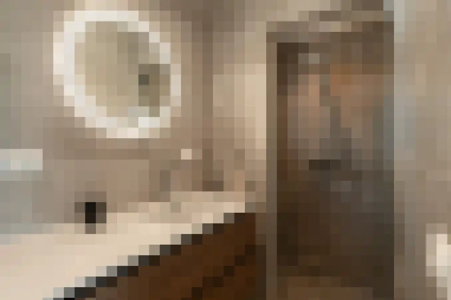 Enkweg 6 Epe thumbnail 19