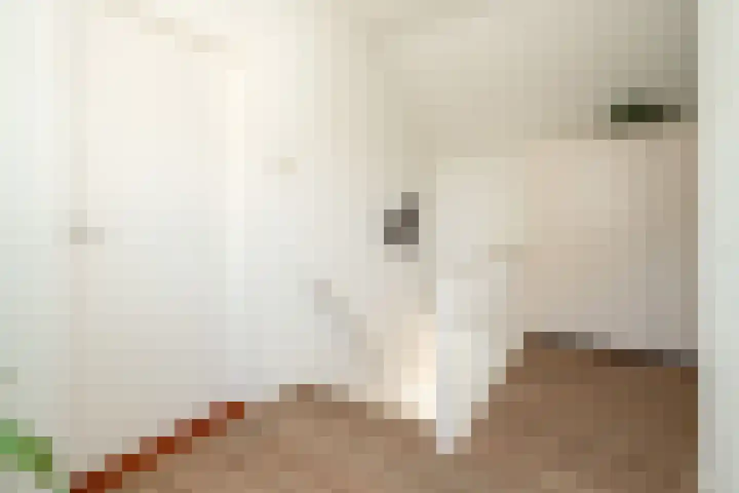 Enkweg 6 Epe thumbnail 22