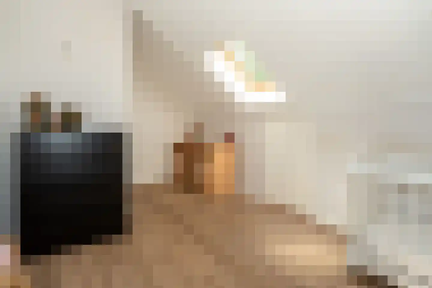 Enkweg 6 Epe thumbnail 29