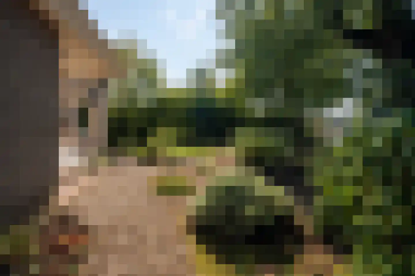 Enkweg 6 Epe thumbnail 4