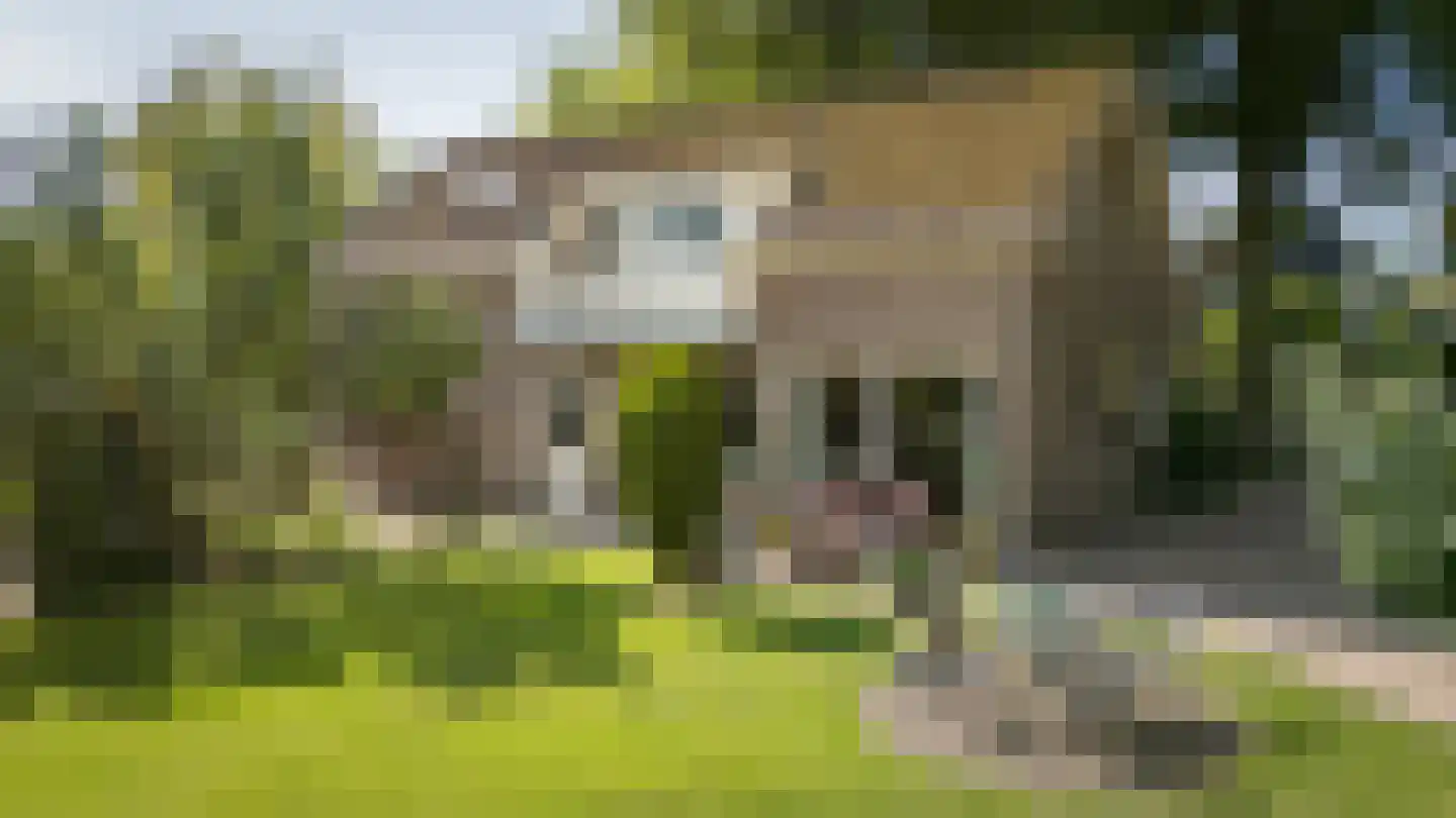 Enkweg 6 Epe thumbnail 40