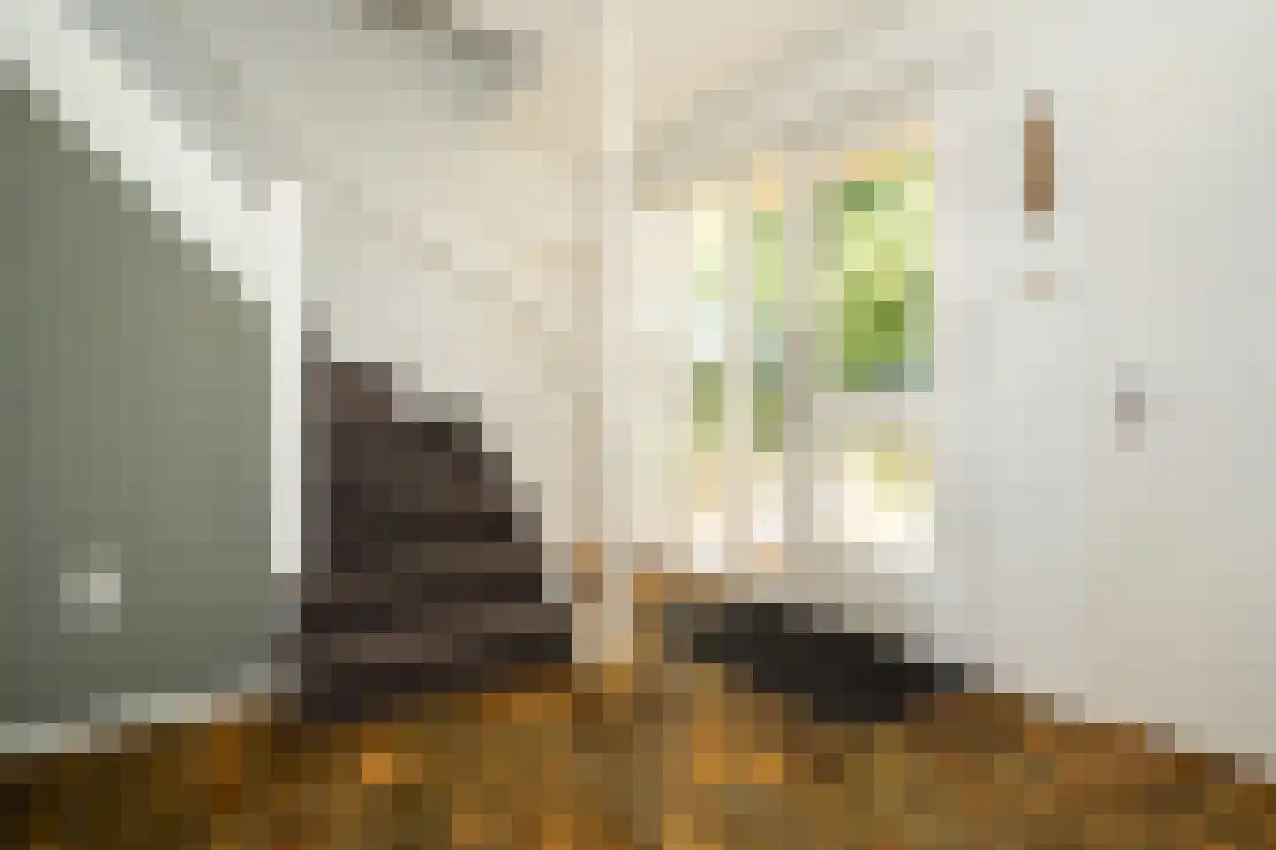 Enkweg 6 Epe thumbnail 6