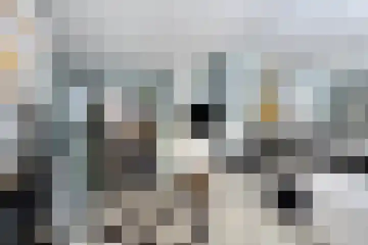 Enkweg 65 Wijhe thumbnail 11
