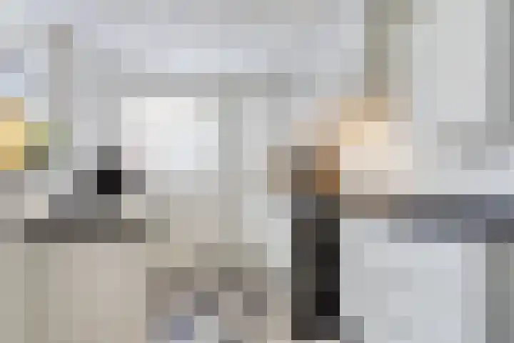 Enkweg 65 Wijhe thumbnail 12