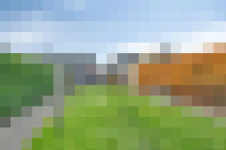 Enkweg 65 Wijhe foto 2