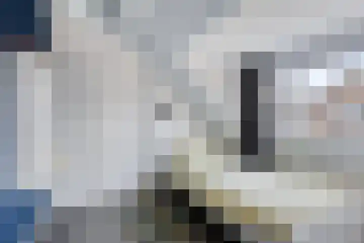 Enkweg 65 Wijhe thumbnail 20