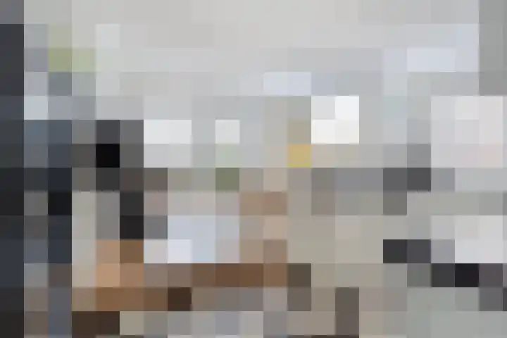 Enkweg 65 Wijhe foto 3