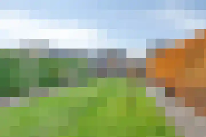 Enkweg 65 Wijhe thumbnail 33
