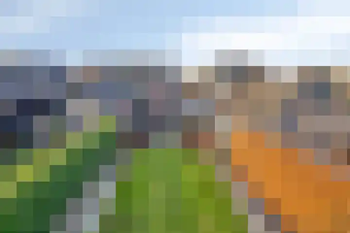 Enkweg 65 Wijhe thumbnail 34