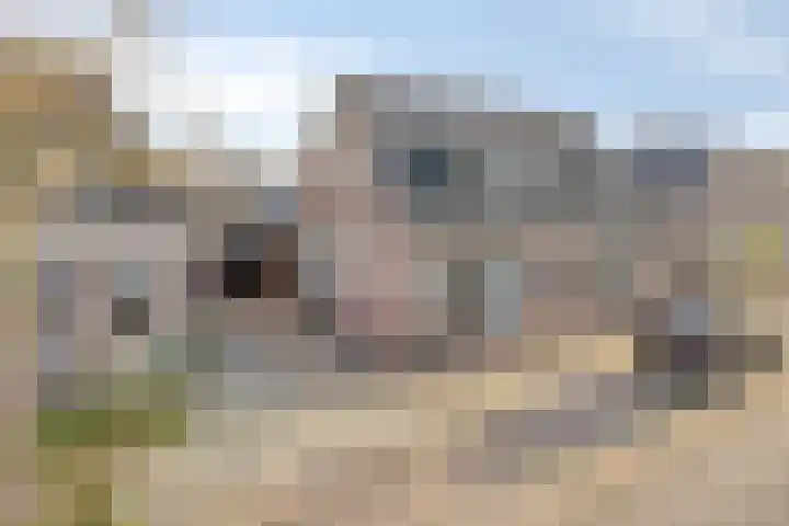 Enkweg 65 Wijhe thumbnail 5