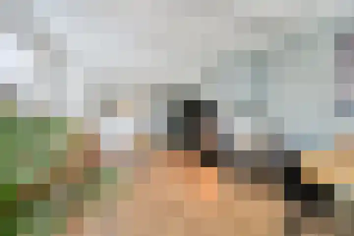 Enkweg 65 Wijhe thumbnail 7