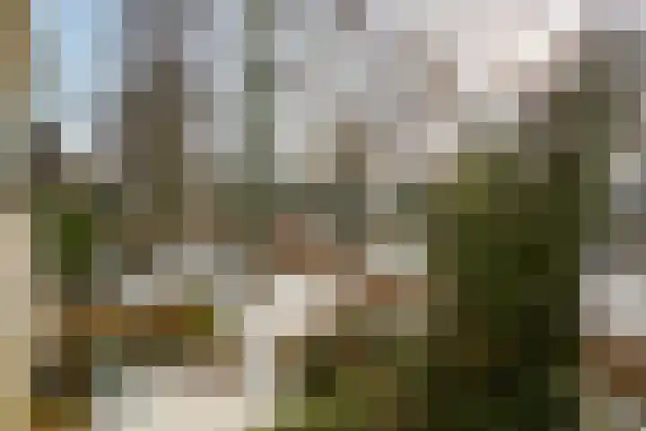 Ennemaborg 107 Amsterdam thumbnail 22