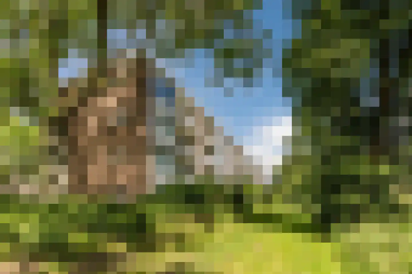 Ennemaborg 129 Amsterdam thumbnail 5
