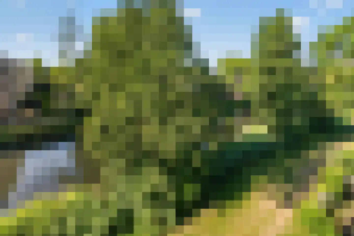 Ennemaborg 135 Amsterdam thumbnail 8