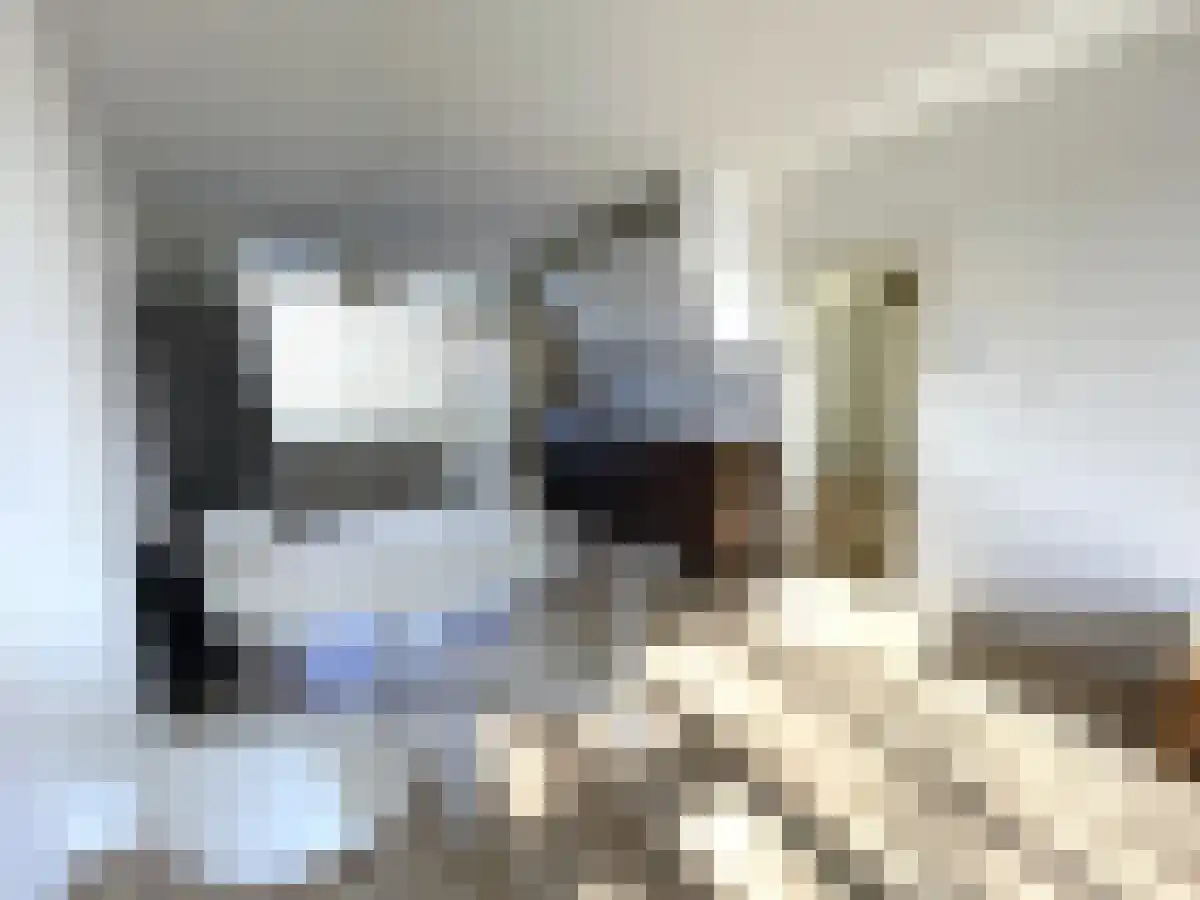 Ennemaborg 157 Amsterdam thumbnail 4