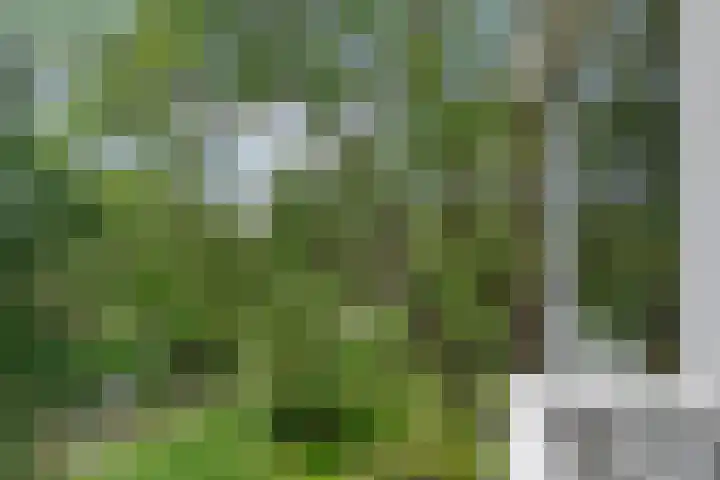 Ennemaborg 159 Amsterdam thumbnail 15