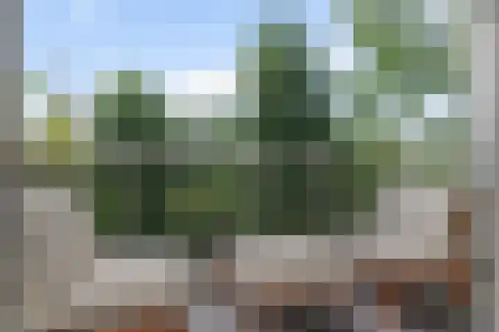 Ennemaborg 159 Amsterdam thumbnail 32