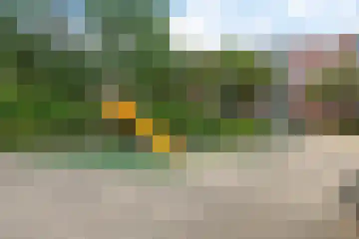 Ennemaborg 159 Amsterdam thumbnail 39