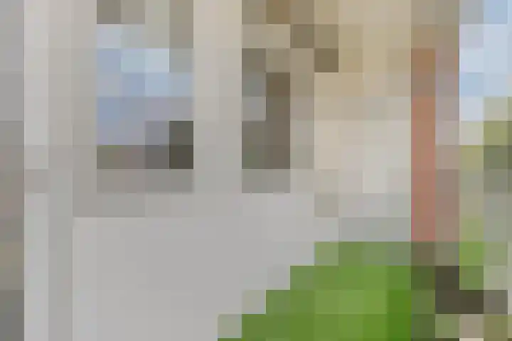 Ennemaborg 32 Amsterdam thumbnail 23