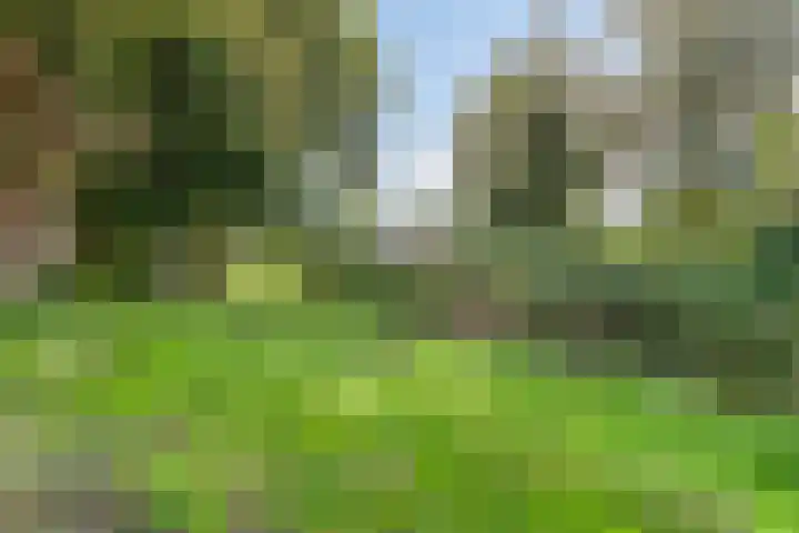 Ennemaborg 32 Amsterdam thumbnail 28