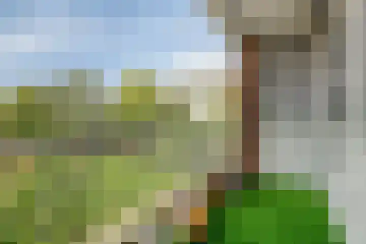 Ennemaborg 32 Amsterdam thumbnail 6