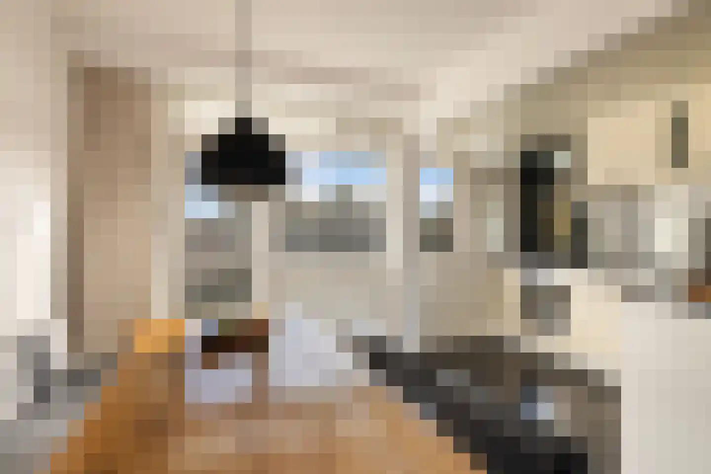 Ennemaborg 39 Amsterdam thumbnail 17