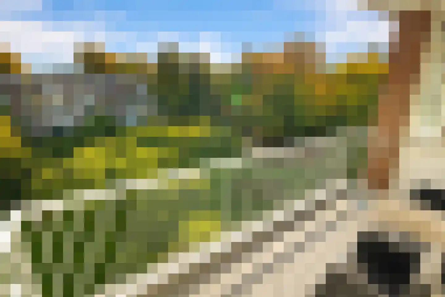 Ennemaborg 39 Amsterdam thumbnail 21