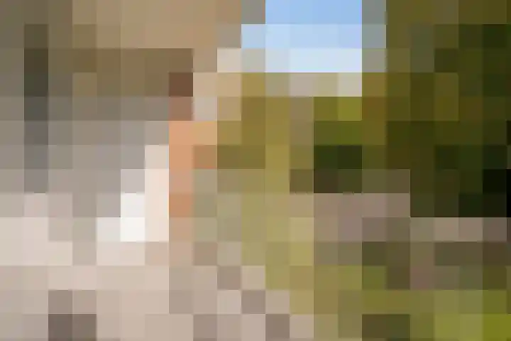 Ennemaborg 5 Amsterdam thumbnail 28