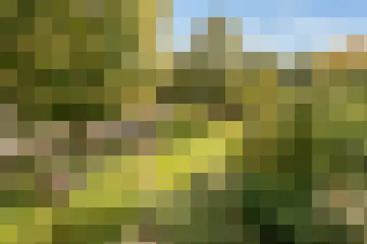 Ennemaborg 5 Amsterdam thumbnail 30