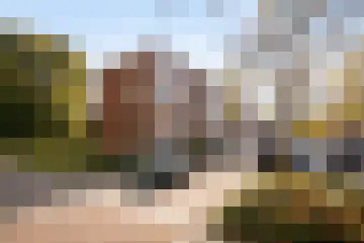 Ennemaborg 5 Amsterdam thumbnail 33