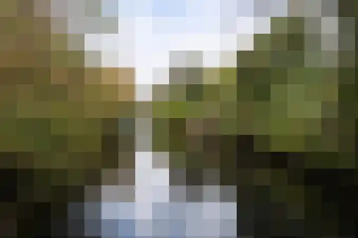Ennemaborg 5 Amsterdam thumbnail 41