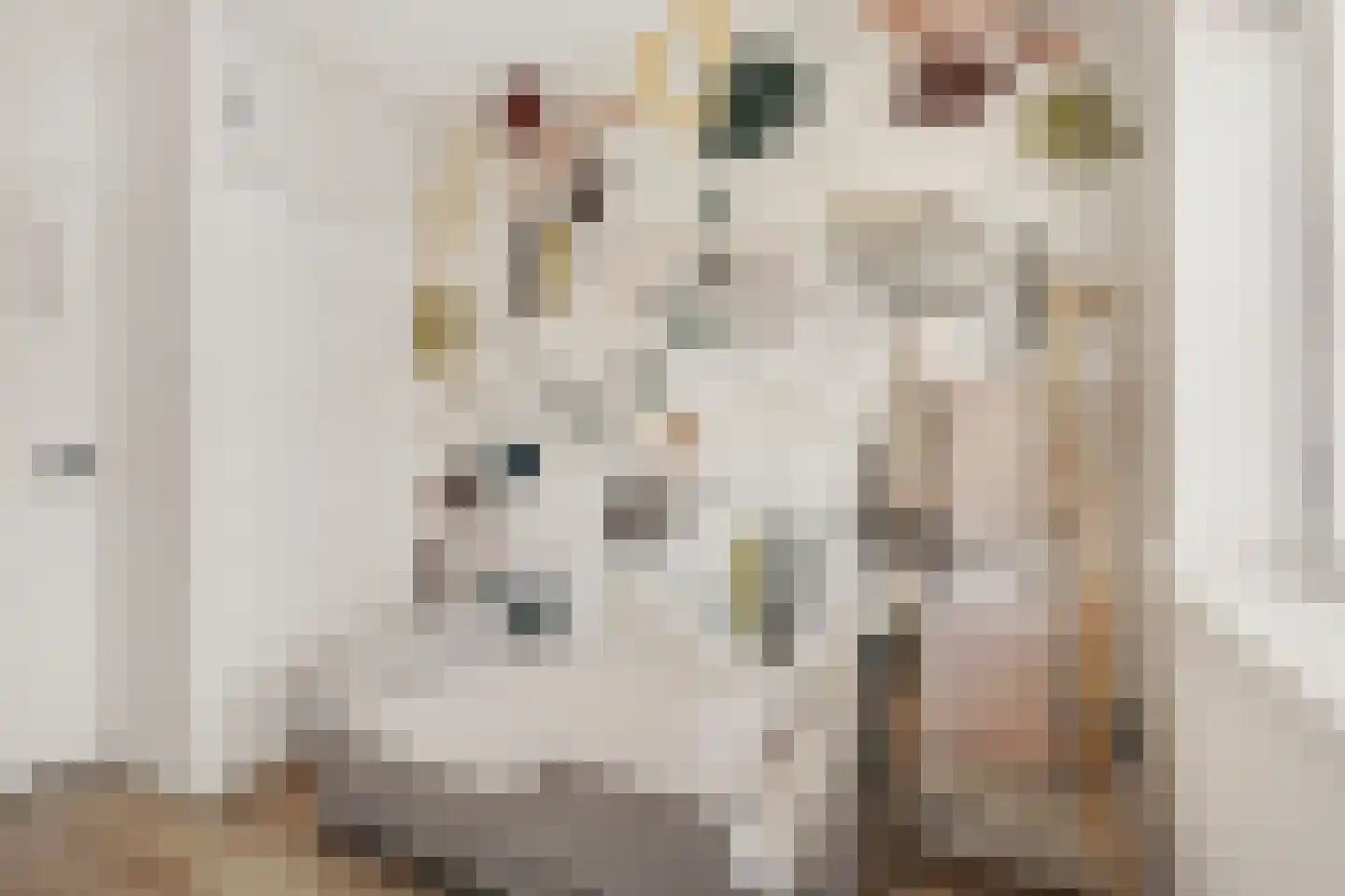 Ennemaborg 69 Amsterdam thumbnail 19