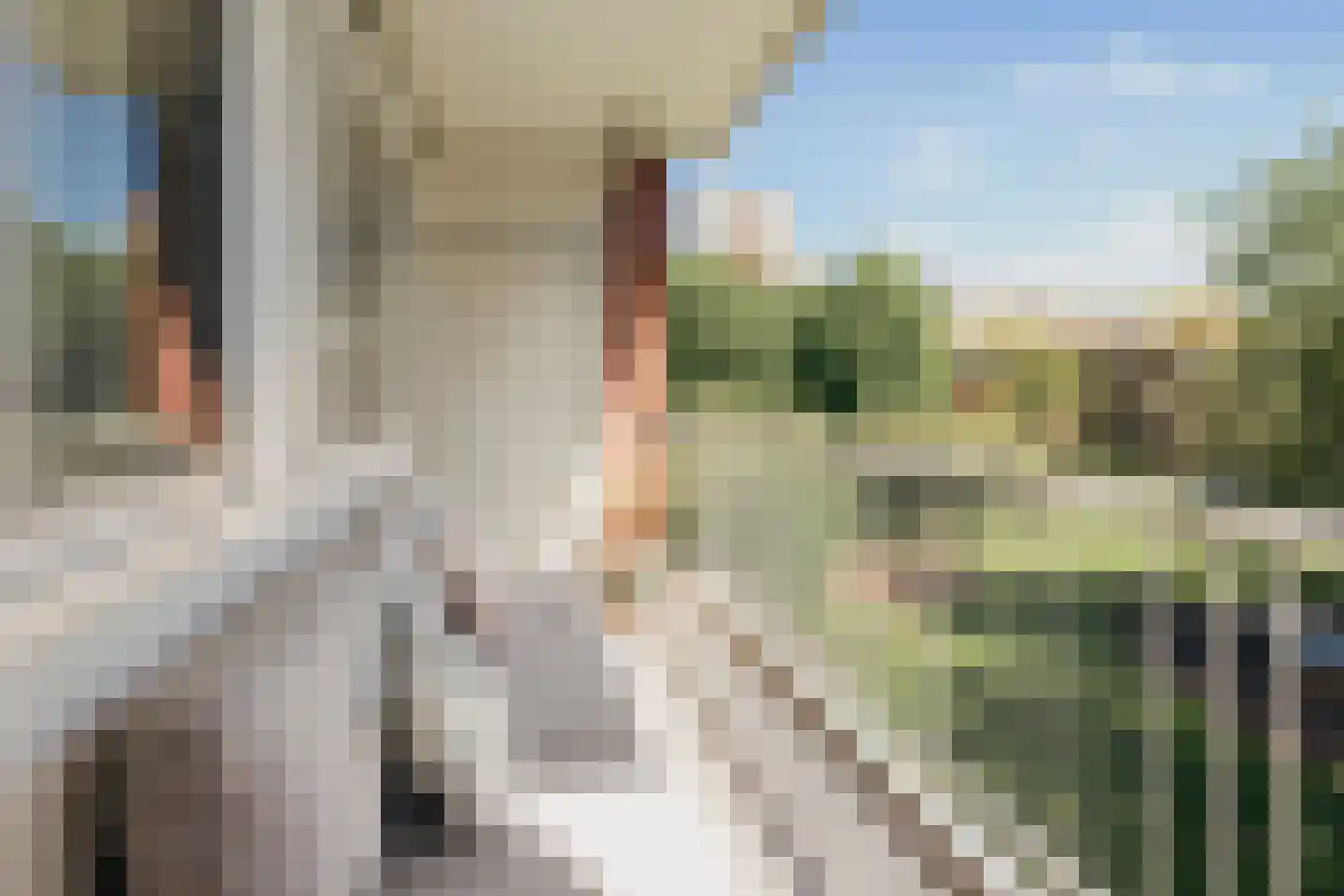 Ennemaborg 69 Amsterdam thumbnail 27