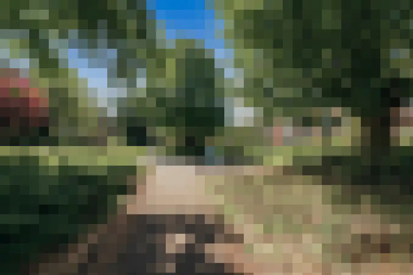 Ennemaborg 69 Amsterdam thumbnail 31