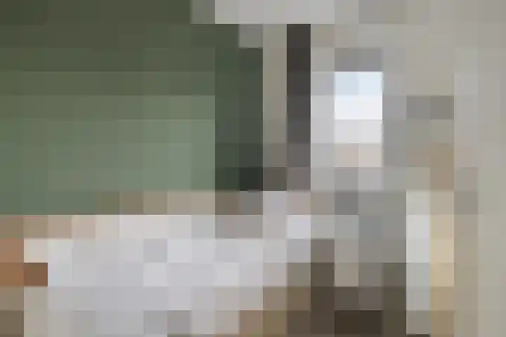 Ennikstraat 1 Balkbrug thumbnail 18