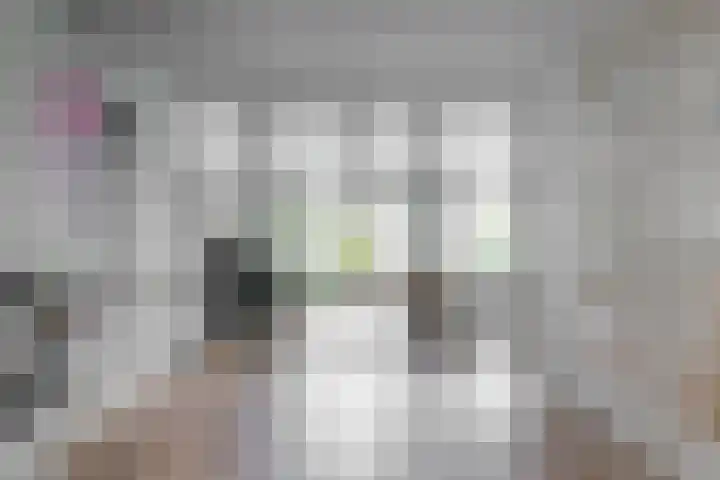 Ensahlaan 1 Bilthoven thumbnail 6
