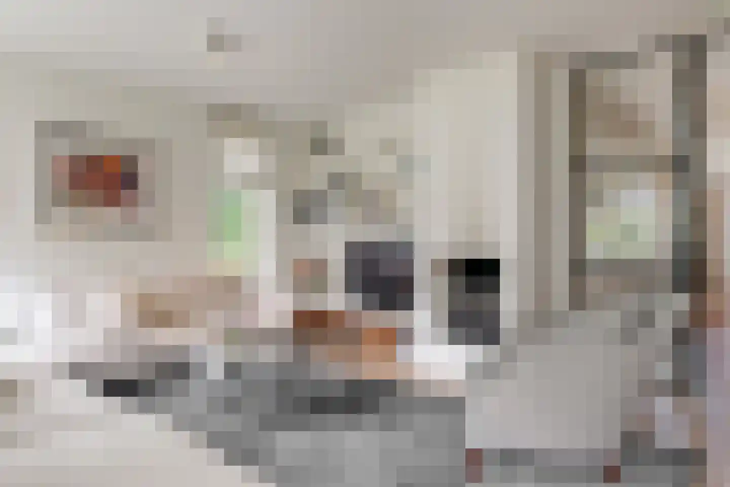 Ensahlaan 1 Bilthoven thumbnail 8