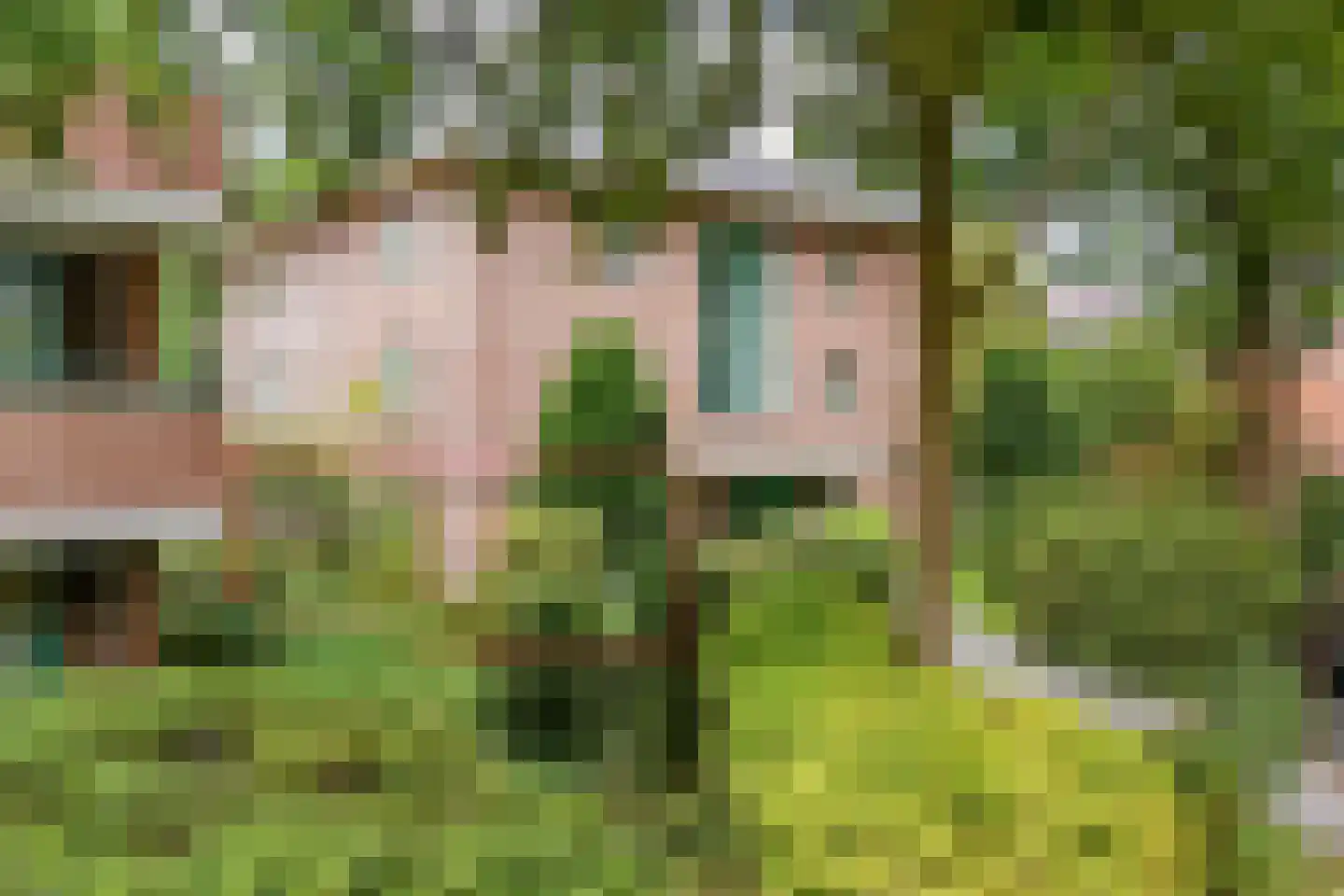 Ensahlaan 26 Bilthoven foto 2